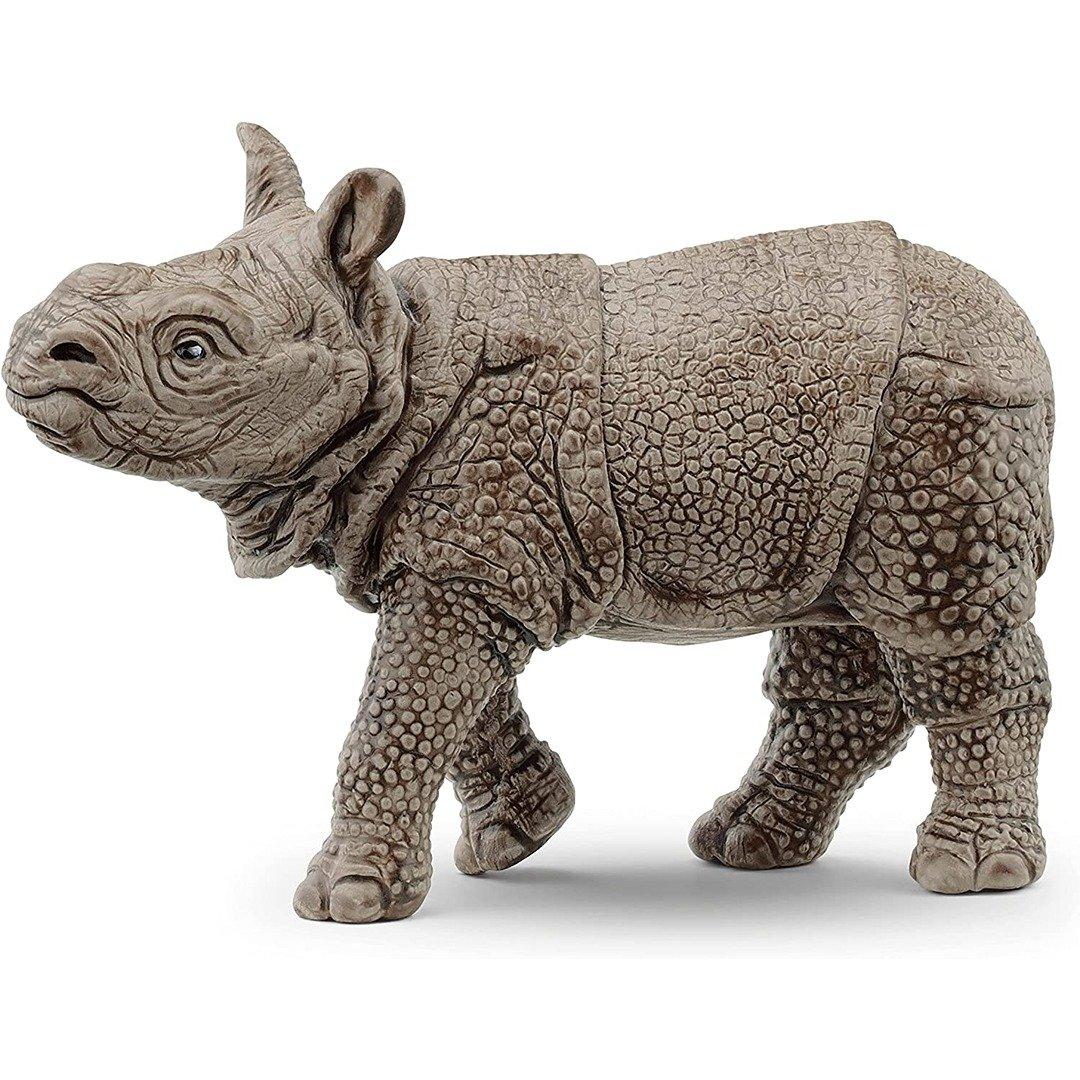 Indian Rhinoceros Baby