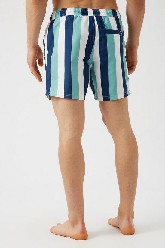 Burton Mint and Navy Candy Stripe Swim Shorts 3