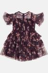 Coast Girls Floral Tiered Tulle Dress thumbnail 2