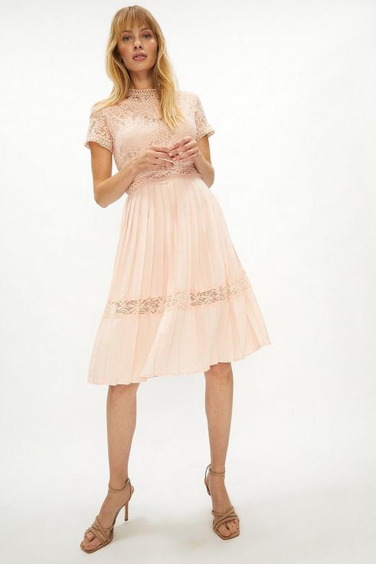 Coast Lace Bodice Pleat Skirt Midi Dress 1