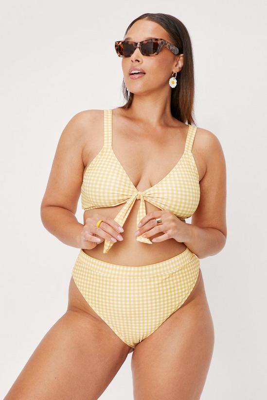 NastyGal Plus Size Gingham Print Tie Bikini Set 1