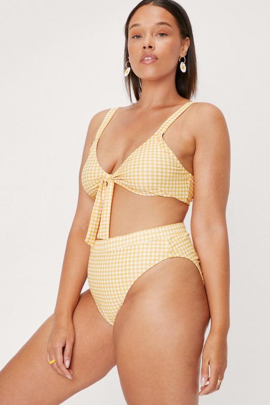 NastyGal Plus Size Gingham Print Tie Bikini Set 2