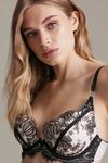 KarenMillen Embroidery And Lace Padded Plunge Bra thumbnail 2