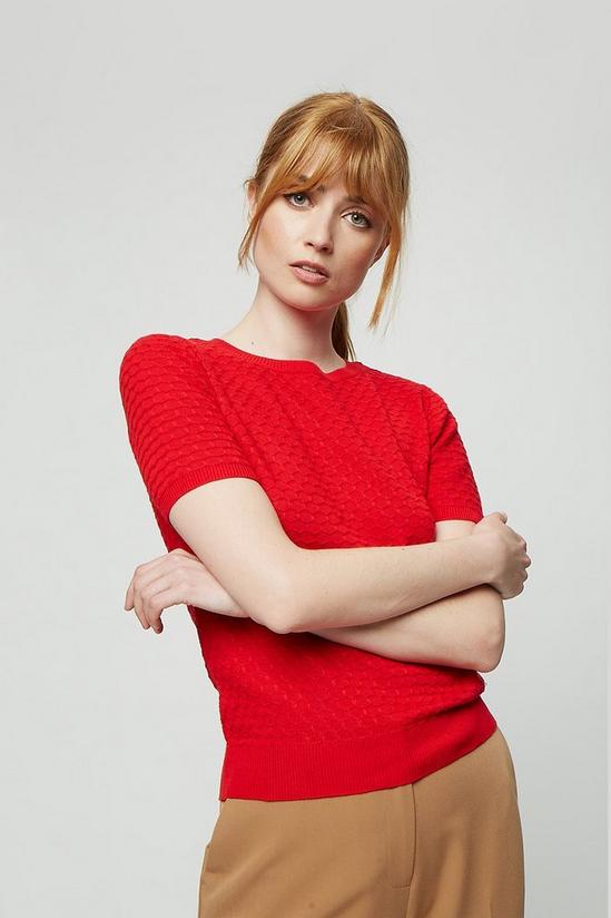 Dorothy Perkins Red Textured Knitted T-Shirt 1