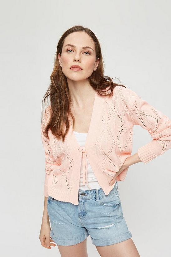 Dorothy Perkins Blush Tie Detail Cable Cardigan 2