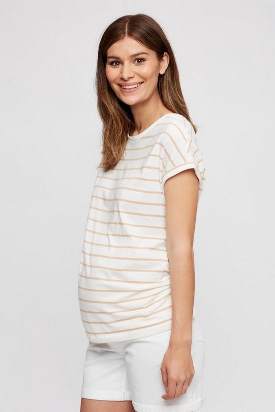 Dorothy Perkins Maternity Neutral Stripe Roll Sleeve T-shirt 1