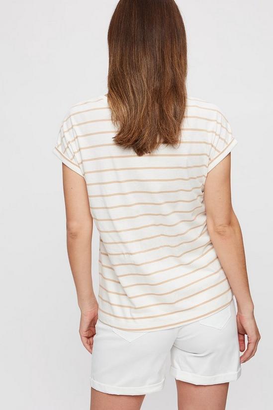 Dorothy Perkins Maternity Neutral Stripe Roll Sleeve T-shirt 3