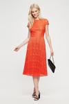 Dorothy Perkins Occasion Orange Pleated Lace Midi Dress thumbnail 1