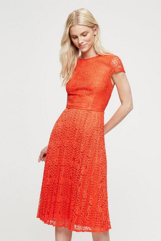 Dorothy Perkins Occasion Orange Pleated Lace Midi Dress 2