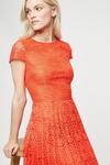 Dorothy Perkins Occasion Orange Pleated Lace Midi Dress thumbnail 4