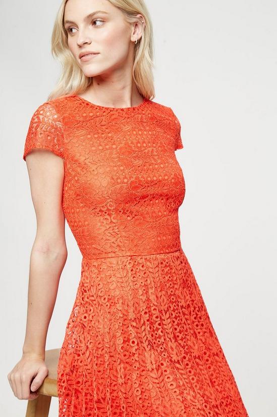 Dorothy Perkins Occasion Orange Pleated Lace Midi Dress 4