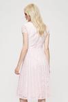 Dorothy Perkins Occasion Blush Lace Pleated Midi Dress thumbnail 3
