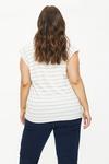 Dorothy Perkins Curve Neutral Stripe Roll Sleeve T-shirt thumbnail 3