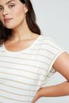 Dorothy Perkins Curve Neutral Stripe Roll Sleeve T-shirt thumbnail 4