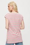 Dorothy Perkins Red Stripe Longline T-shirt thumbnail 3