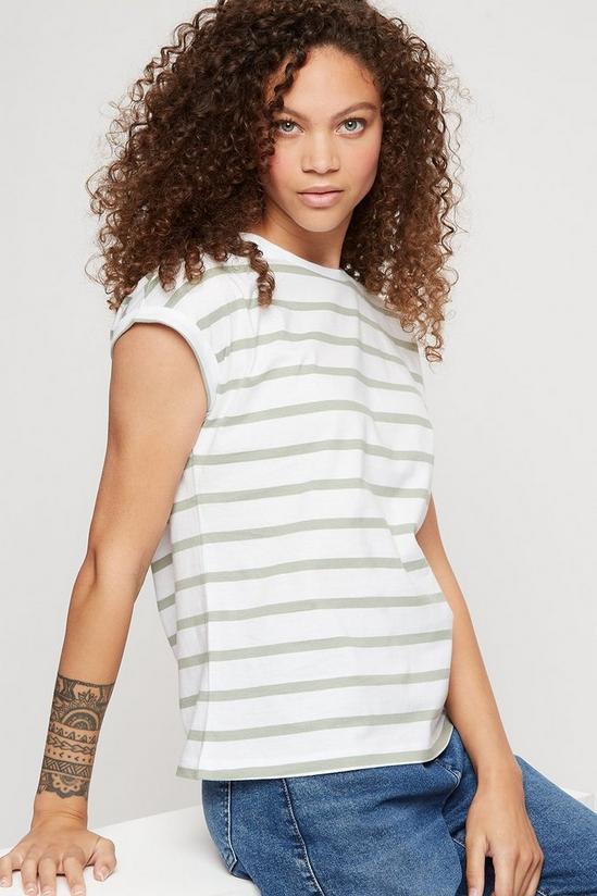 Dorothy Perkins Petite Sage Stripe Roll Sleeve T-shirt 4