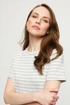 Dorothy Perkins Grey Stripe T-shirt Midi Dress thumbnail 4