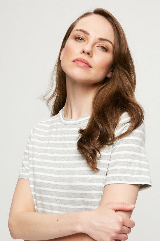 Dorothy Perkins Grey Stripe T-shirt Midi Dress 4