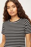 Dorothy Perkins Petite Mono Stripe T Shirt Midi Dress thumbnail 4