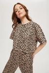 Dorothy Perkins Animal Print Oversize T-Shirt and Cuffed Trousers Pyjama Set thumbnail 2