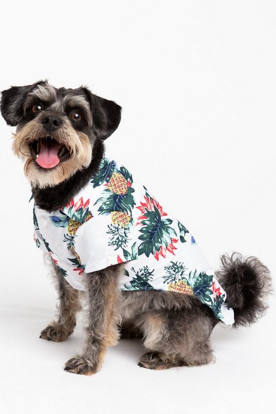 Dorothy Perkins White Hawaiian Dog Shirt 1