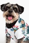 Dorothy Perkins White Hawaiian Dog Shirt thumbnail 2