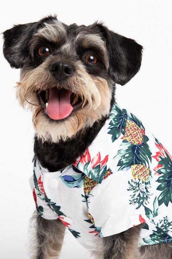 Dorothy Perkins White Hawaiian Dog Shirt 2