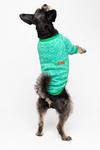 Dorothy Perkins Green Jersey Dog Jumper thumbnail 3