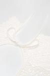 Dorothy Perkins White Lace Detail Collar With Tie thumbnail 4