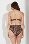Wallis Leopard Bandeau Bikini Top thumbnail 3
