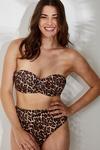 Wallis Leopard Bandeau Bikini Top thumbnail 4