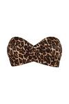 Wallis Leopard Bandeau Bikini Top thumbnail 5