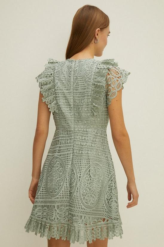 Oasis Frill Detail Lace Skater Dress 3