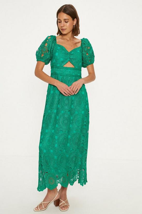 Oasis Petite Premium Floral Lace Cut Out Midi Dress 1