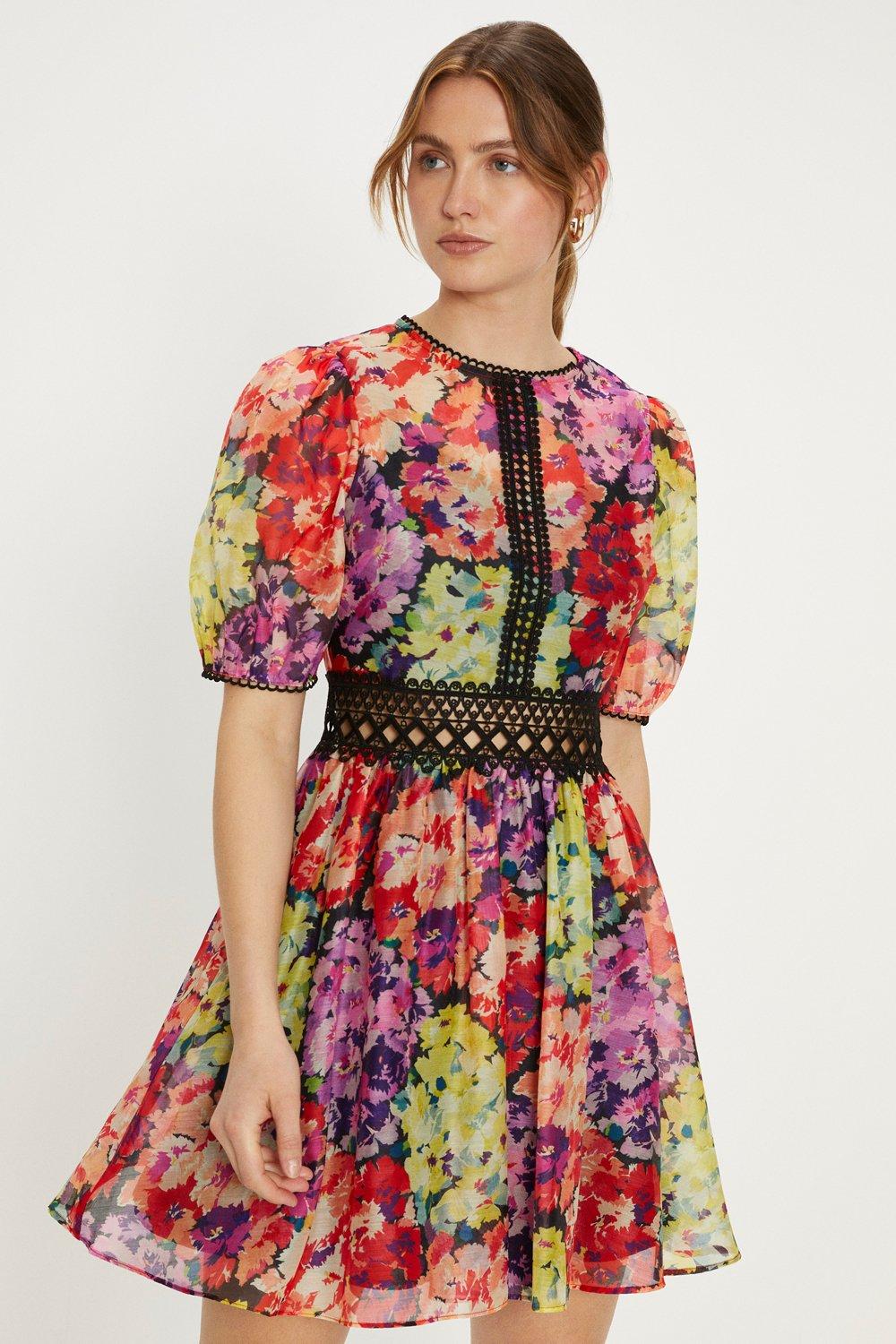 Ditsy Floral Lace Trim Organza Mini Dress