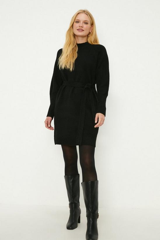 Oasis Belted Buckle Detail Cosy Roll Neck Mini Dress 2