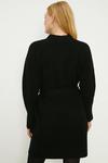 Oasis Belted Buckle Detail Cosy Roll Neck Mini Dress thumbnail 3