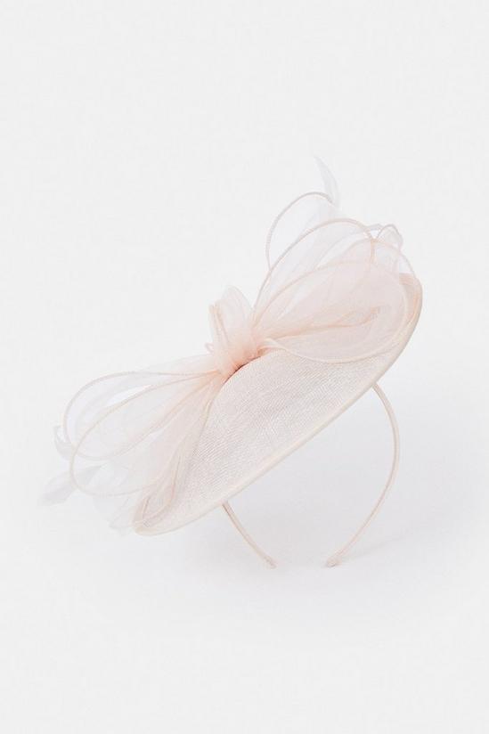Coast Organza Bow And Feather Fascinator 2