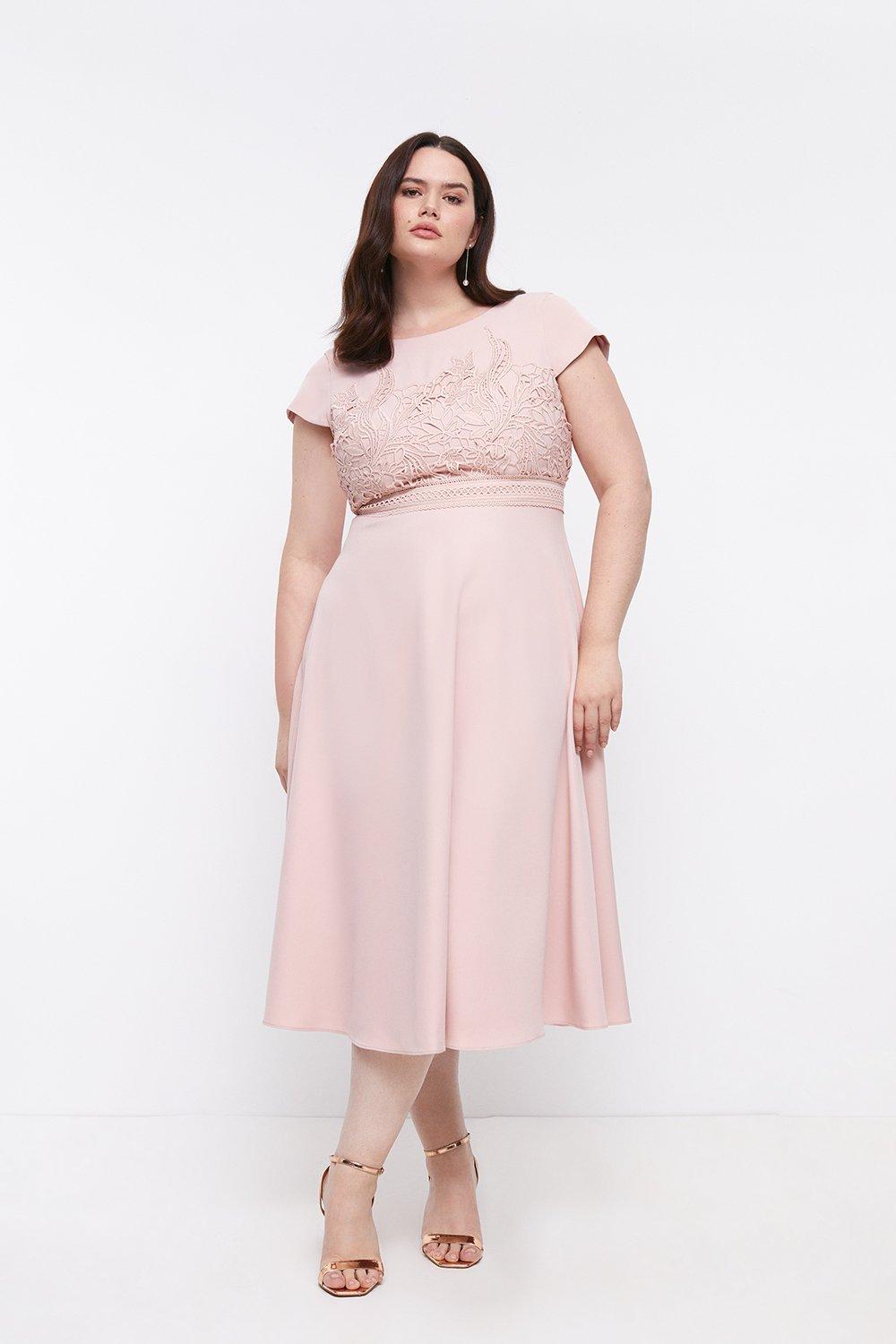 Plus Size Lace Dress With Circular Skirt