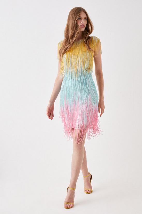 Coast Beaded Fringe Colourblock Mini Dress 2