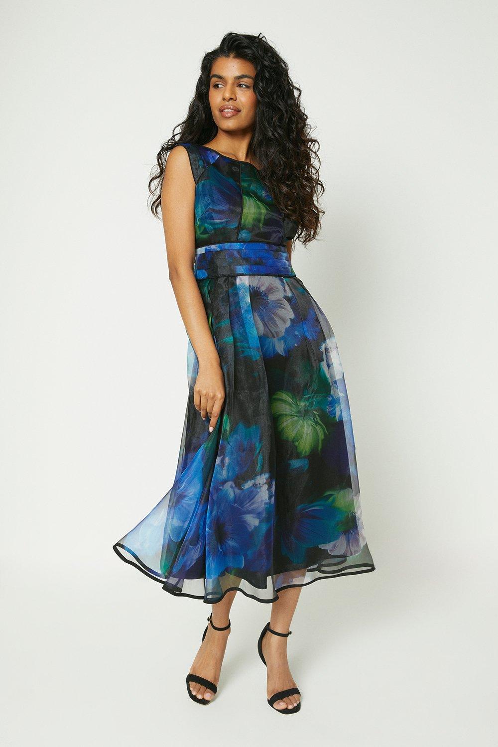 Coast petite store occasion dresses