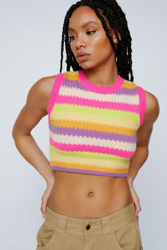 NastyGal Stripe Knitted Cropped Tank Top 1