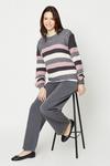 Dorothy Perkins Long Sleeve Multi Stripe Knitted Jumper thumbnail 2