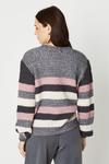 Dorothy Perkins Long Sleeve Multi Stripe Knitted Jumper thumbnail 3