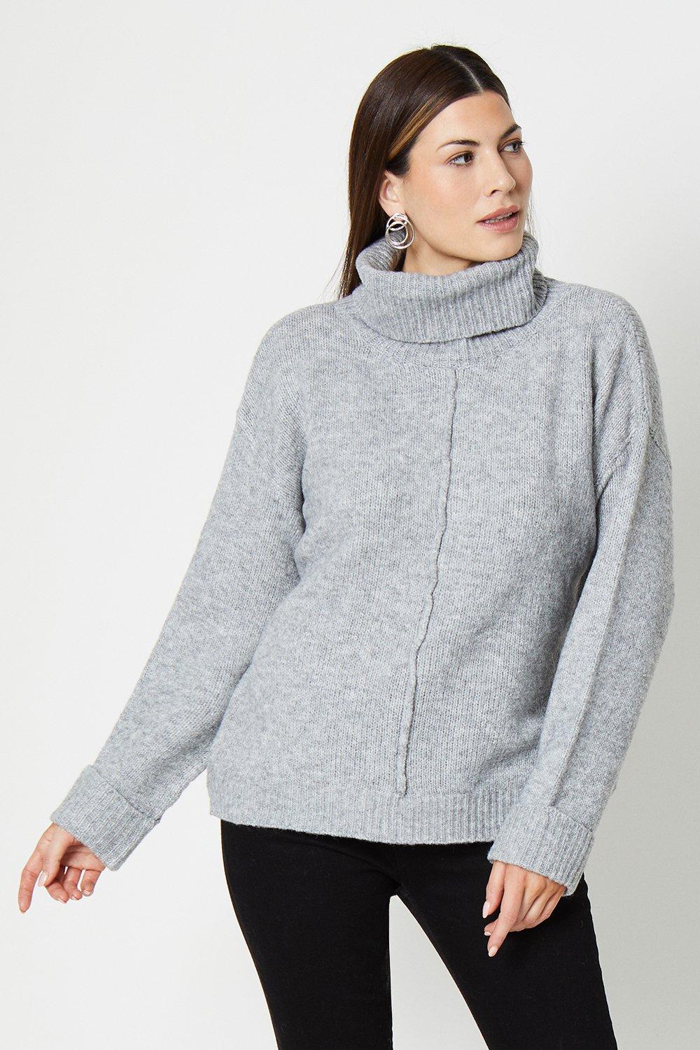 Jumpers & Cardigans | Seam Detail Front Roll Neck Cosy Sweater | Wallis