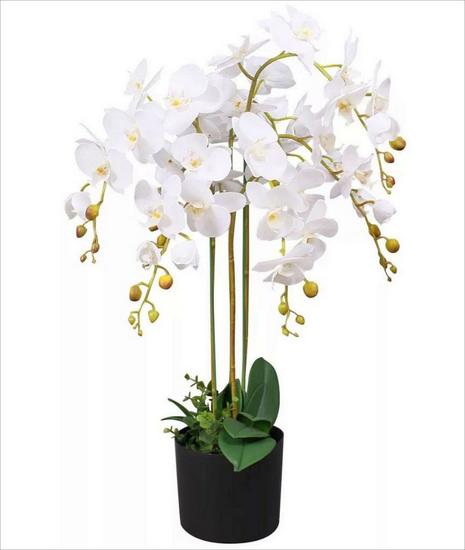 85cm Leaf Design UK Realistic Artificial Orchid Flower Display in Pot