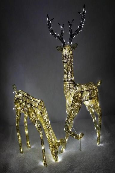 Large Light Up Stag & Doe Reindeer Set - Gold