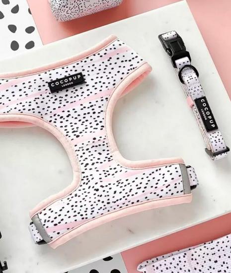Medium Pink Dalmatian Adjustable Neck Harness & Collar Set