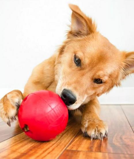 Biscuit Ball Dog Treat Dispenser