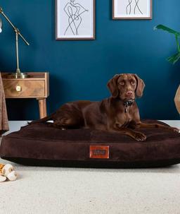 Paws for Slumber Large Pet Bed